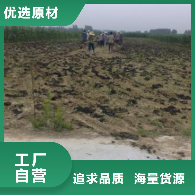 發酵雞糞好農家肥當地公司