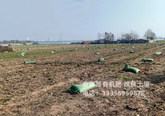 雞糞腐熟雞糞值得信賴本地生產(chǎn)商