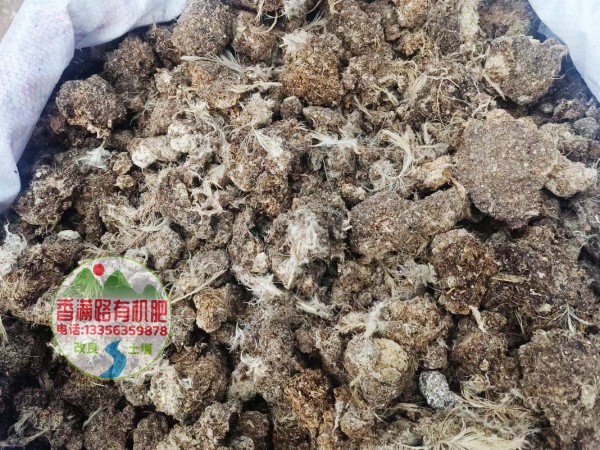 稻殼雞糞施肥好幫手