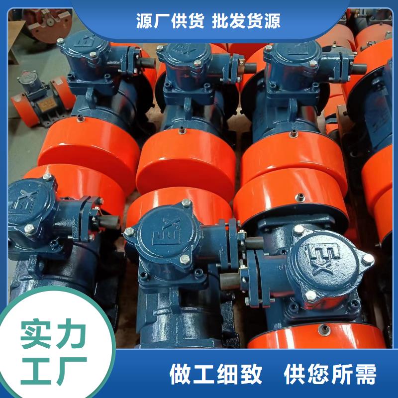【振動(dòng)電機(jī)】防爆電機(jī)專業(yè)生產(chǎn)品質(zhì)保證當(dāng)?shù)胤?wù)商