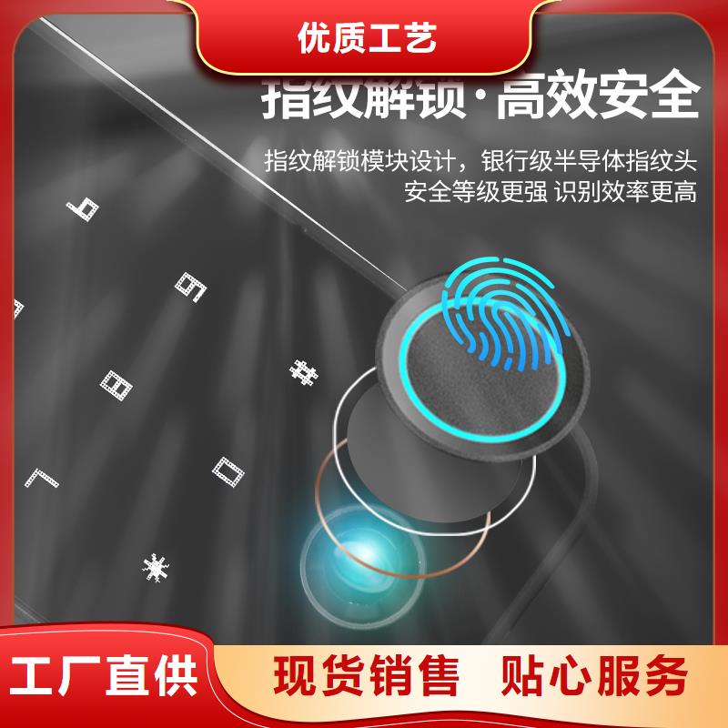 智能鎖人臉識別智能鎖今年新款當地貨源