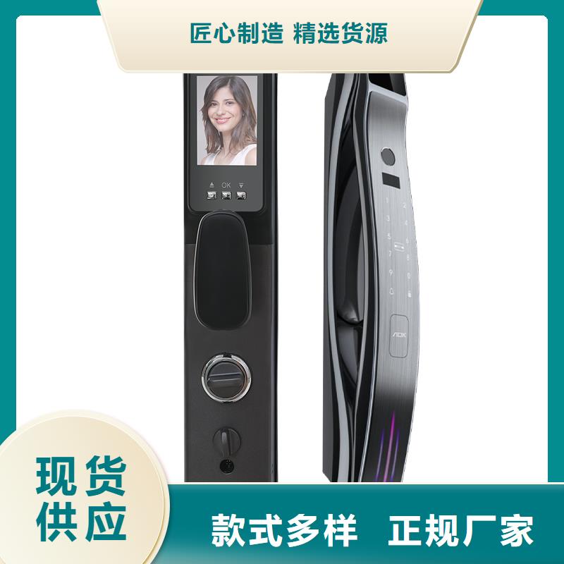智能鎖_銷售人臉識別智能鎖廠家批發價用心做品質