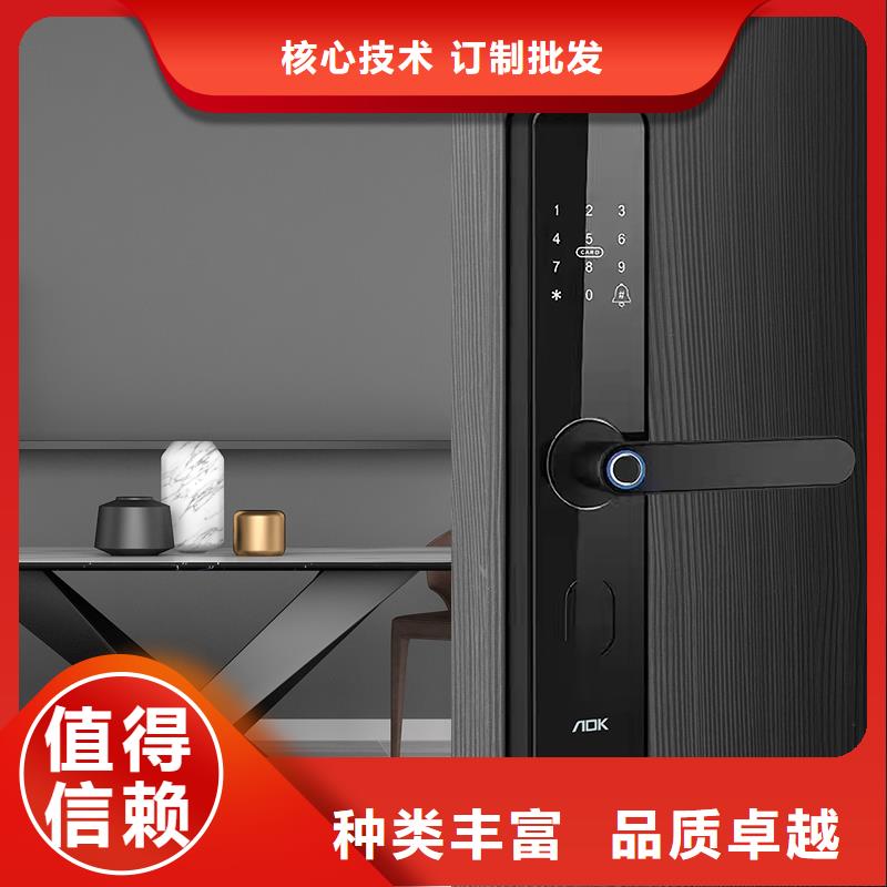 智能鎖用心做品質(zhì)廠家直銷直供