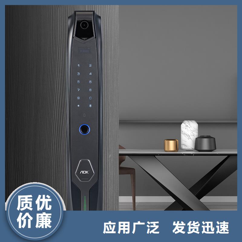 智能鎖【人臉識別智能鎖】實力工廠現貨批發