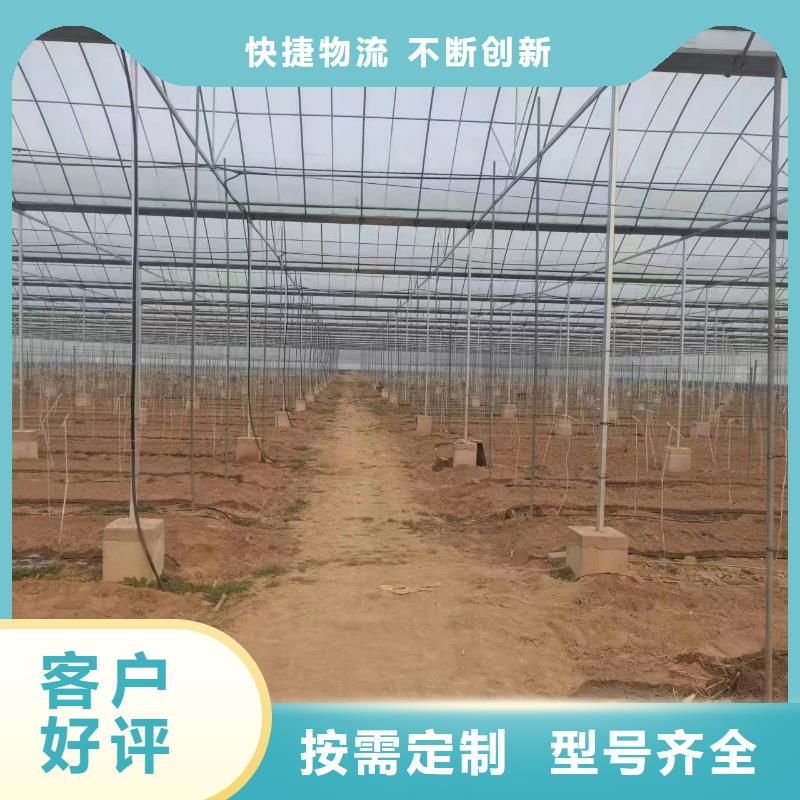 【溫室大棚熱鍍鋅光伏支架做工精細】本地服務商