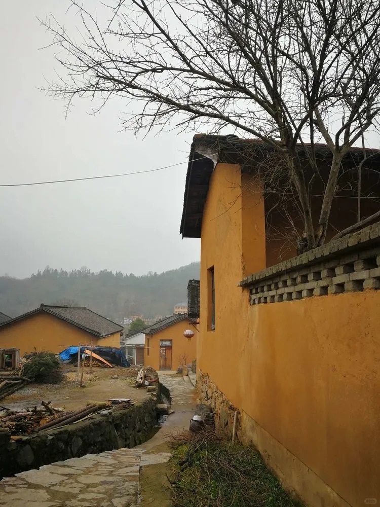 夯土藝術漆廠家批發，承接工程本地生產廠家