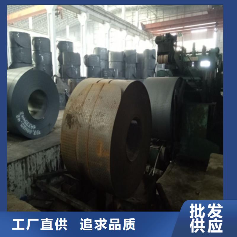 /FJ832533.html