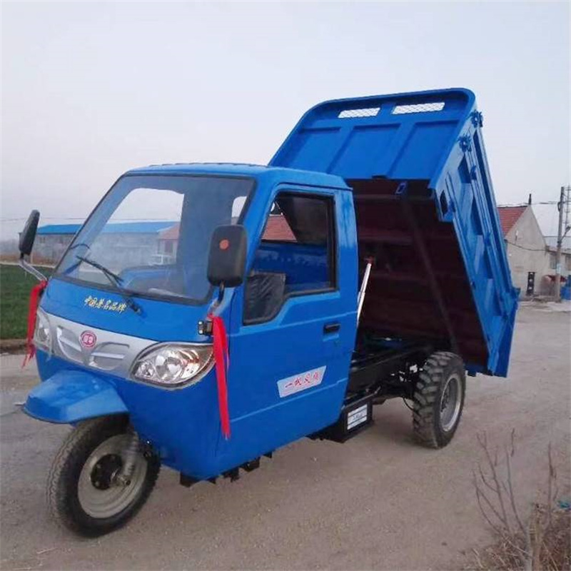 柴油三轮车销售专业按需定制(瑞迪通)本地企业