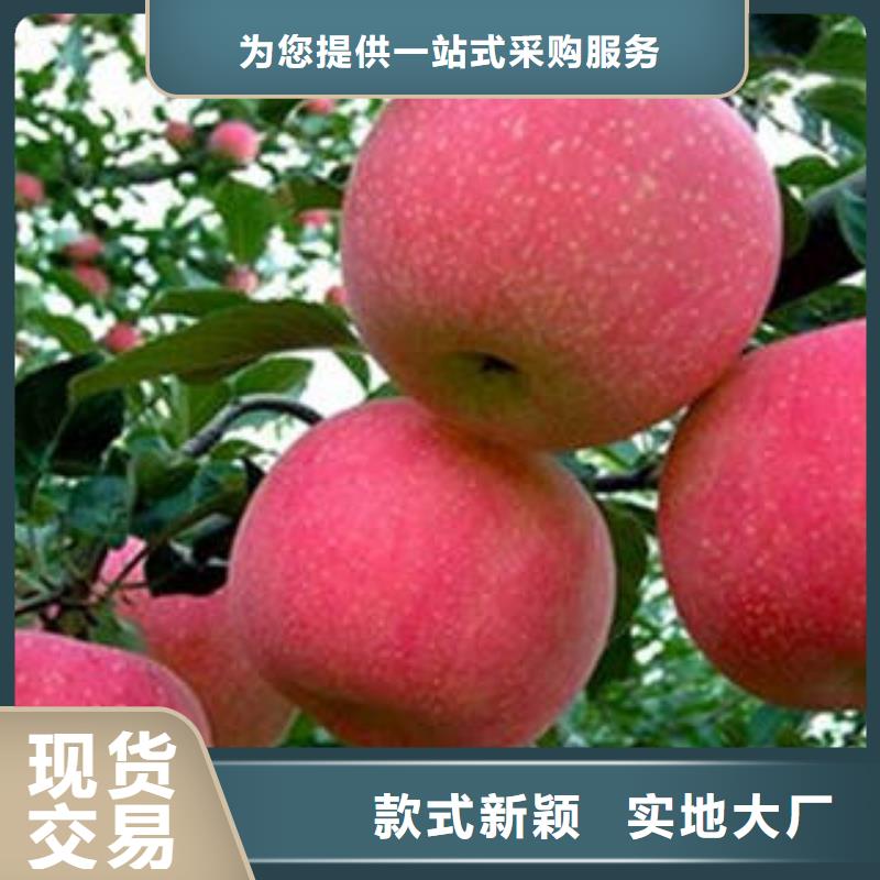 ˴츻ʿƻ֤