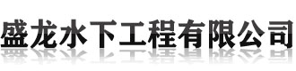 []盛龍水下管道封堵切割堵漏焊接打撈救援作業工程有限公司