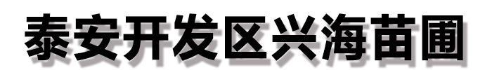 [河南]兴海苗木种植合作社