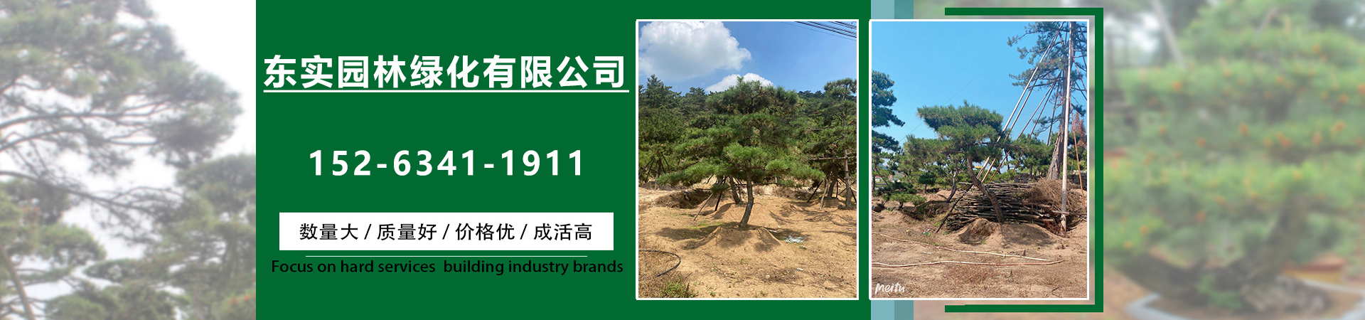 安康造型池松、安康造型池松批发、安康造型池松厂家