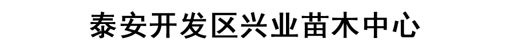 [泰安]興業苗木中心