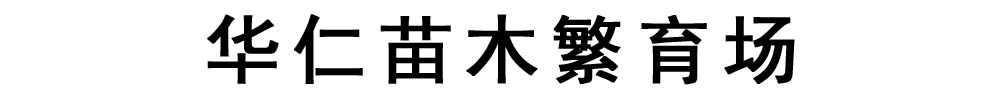 [海西]华仁苗木繁育场