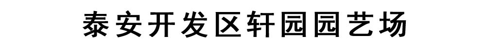 [陕西]轩园园艺场