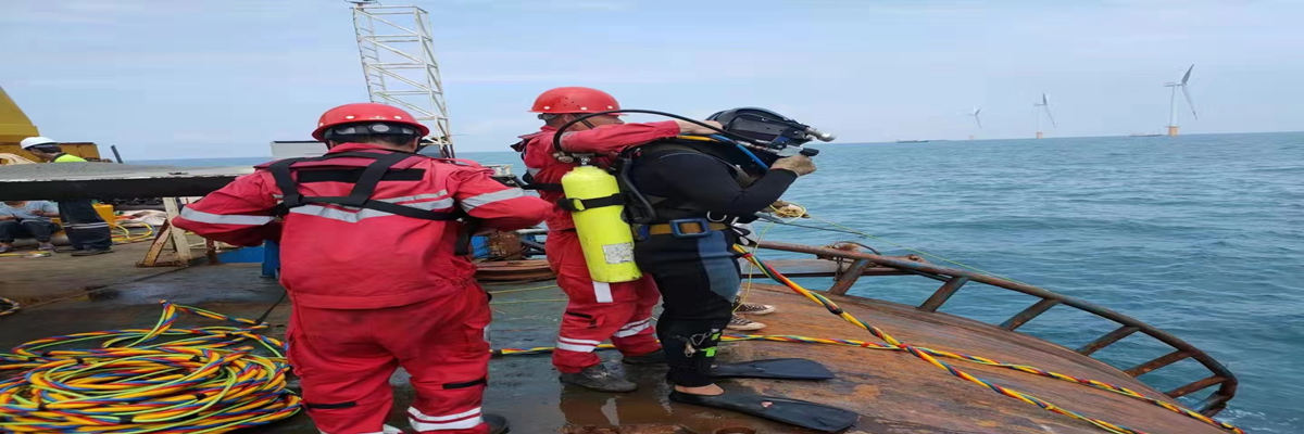 秀洲水下堵漏批發價格、秀洲水下堵漏廠家直銷、秀洲水下堵漏行業報價