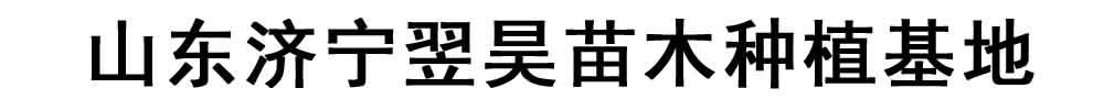 [周口]翌昊苗木种植基地有限公司