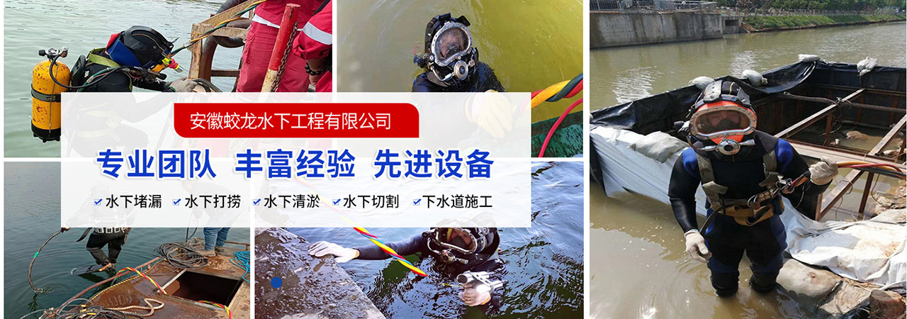 铜梁水下照相服务批发价格、铜梁水下照相服务厂家直销、铜梁水下照相服务行业报价