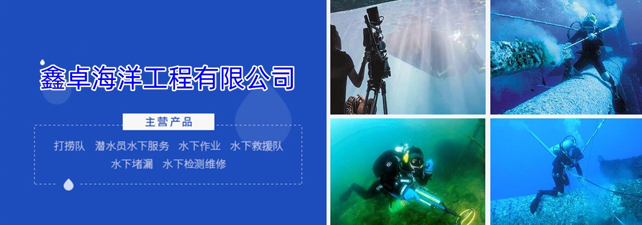 岱山桥桩防撞墩水下安装、岱山桥桩防撞墩水下安装批发、岱山桥桩防撞墩水下安装厂家