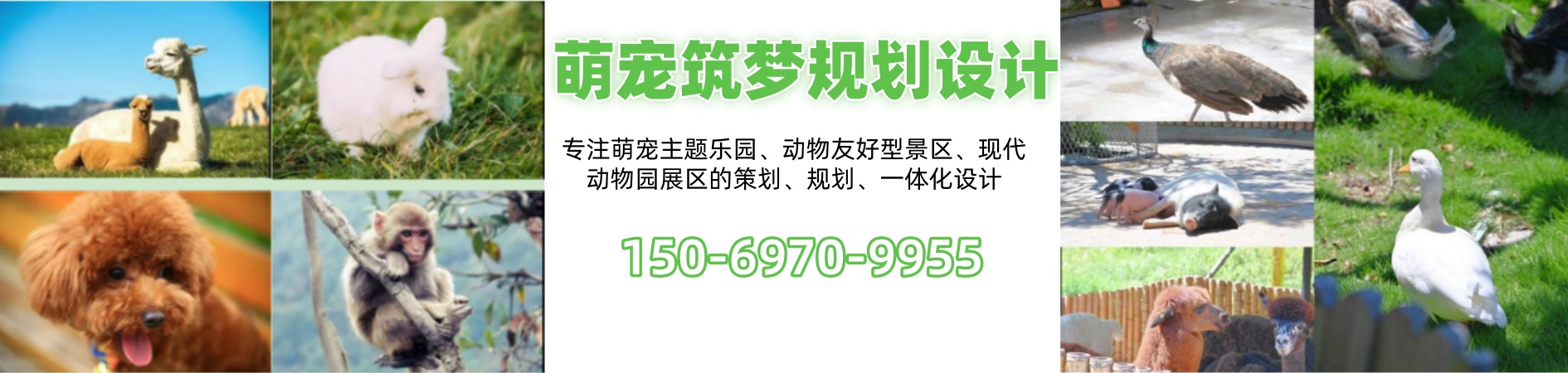 陆河萌宠乐园设计、陆河萌宠乐园设计批发、陆河萌宠乐园设计厂家、动物租赁公司、萌宠乐园创意设计、萌宠乐园设计、景区升级改造、动物租赁、萌宠乐园运营规划、萌宠乐园创意设计。